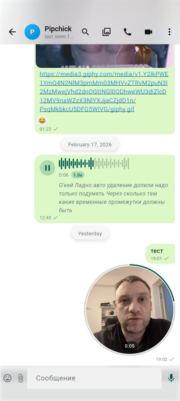 Voice and video messages